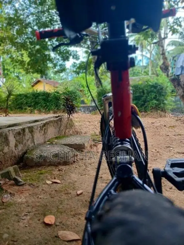 DSI Bicycle
