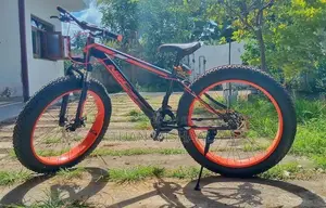 NGC Fat Tyre Mountain Bike