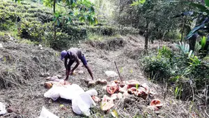 Land for Sale Ethgala Gampola