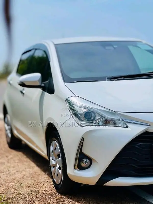 Toyota Vitz 2019 Car (Used)