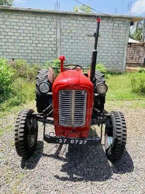 Massey-Ferguson 533 1981 Tractor (Used)