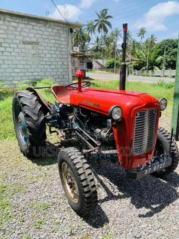 Massey-Ferguson 533 1981 Tractor (Used)