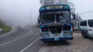 Ashok-Leyland Leyland 2010 Bus (Used)