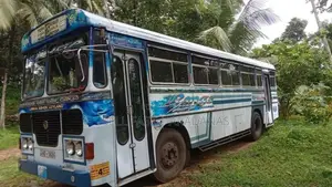 Ashok-Leyland Leyland 2010 Bus (Used)