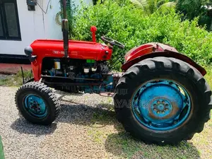 Massey-Ferguson 533 1981 Tractor (Used)
