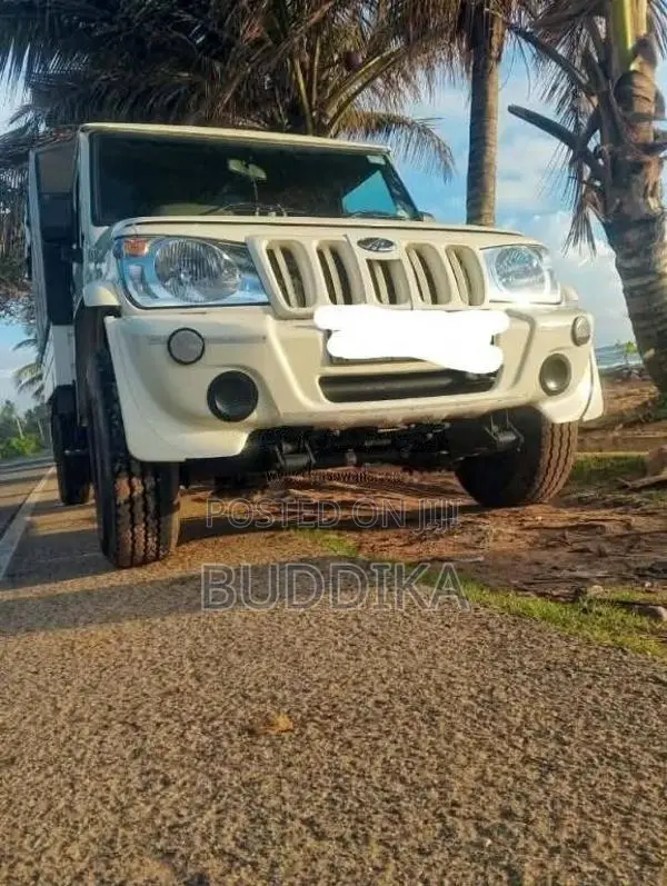 Mahindra City Picup 2024 Lorry (Used)