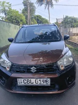 Suzuki Celerio 2019 Car (Used)