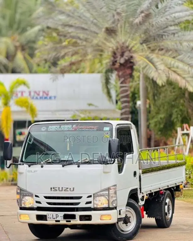 Isuzu ELF Single Wheel 2019 Lorry (Used)