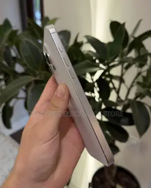 New Apple iPhone 16 Pro Max 256 GB White