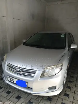 Toyota Axio 2008 Gray