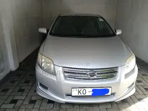 Toyota Axio 2008 Gray