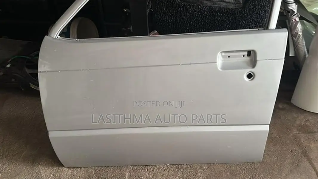 Maruti Front Door panel