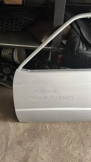 Maruti Front Door panel