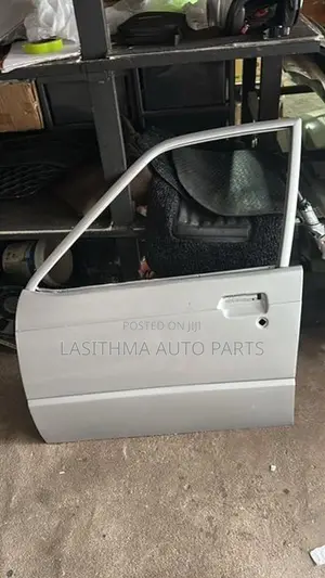 Maruti Front Door panel