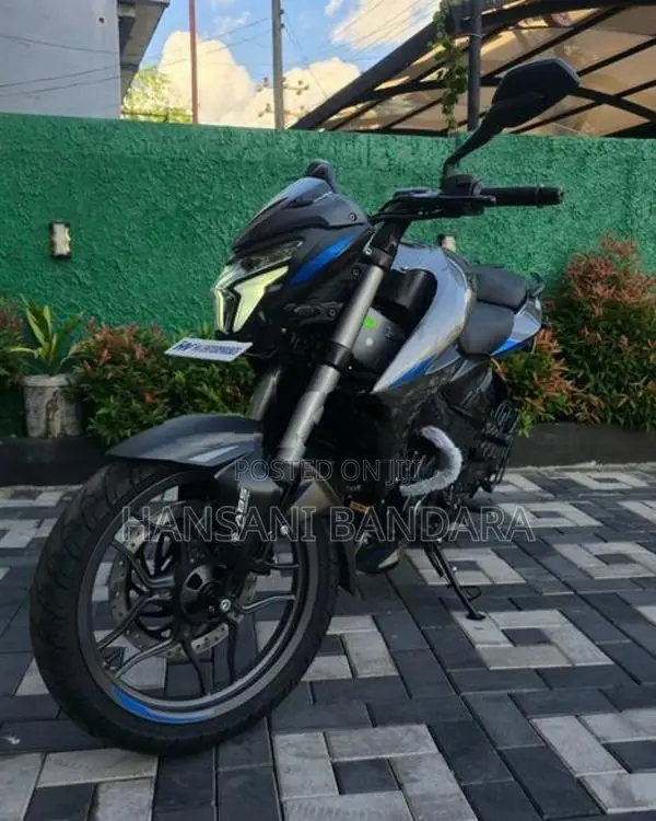 Bajaj Pulsar NS200 Pewter Grey Blue 2026