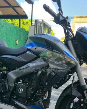 Bajaj Pulsar NS200 Pewter Grey Blue 2026