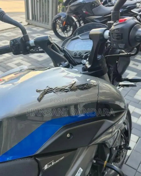 Bajaj Pulsar NS200 Pewter Grey Blue 2026