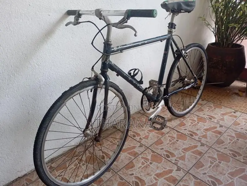 Rover Bicycle