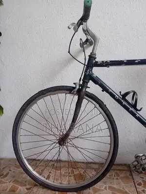 Rover Bicycle