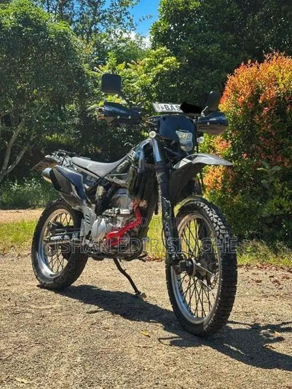 Kawasaki KLX 2010
