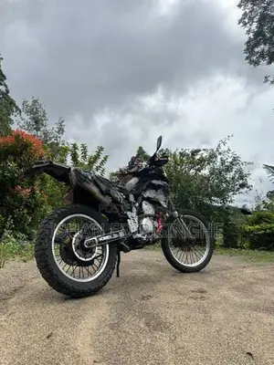Kawasaki KLX 2010