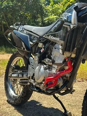 Kawasaki KLX 2010
