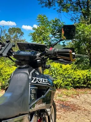Kawasaki KLX 2010