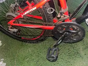 Lumstar 21-Speed Dual Suspension Mountain Bike