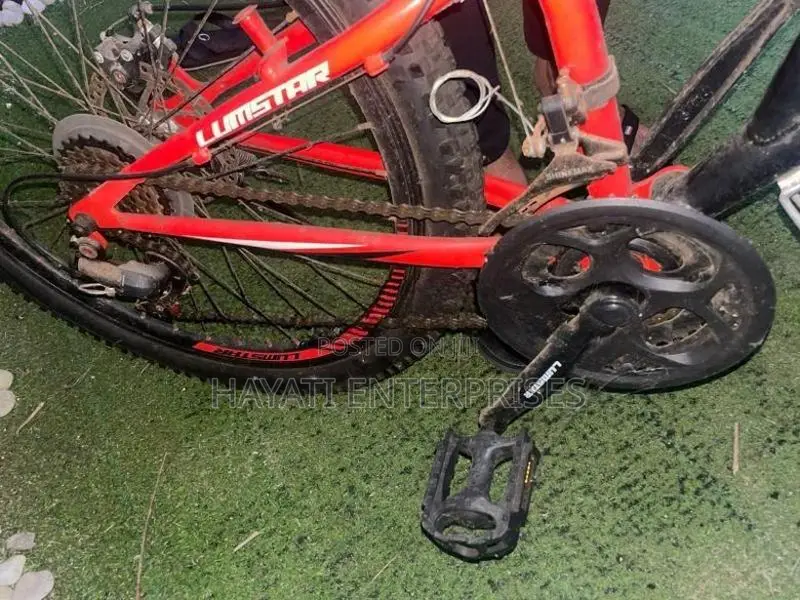 Lumstar 21-Speed Dual Suspension Mountain Bike