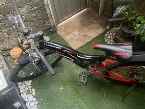Lumstar 21-Speed Dual Suspension Mountain Bike