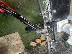 Lumstar 21-Speed Dual Suspension Mountain Bike