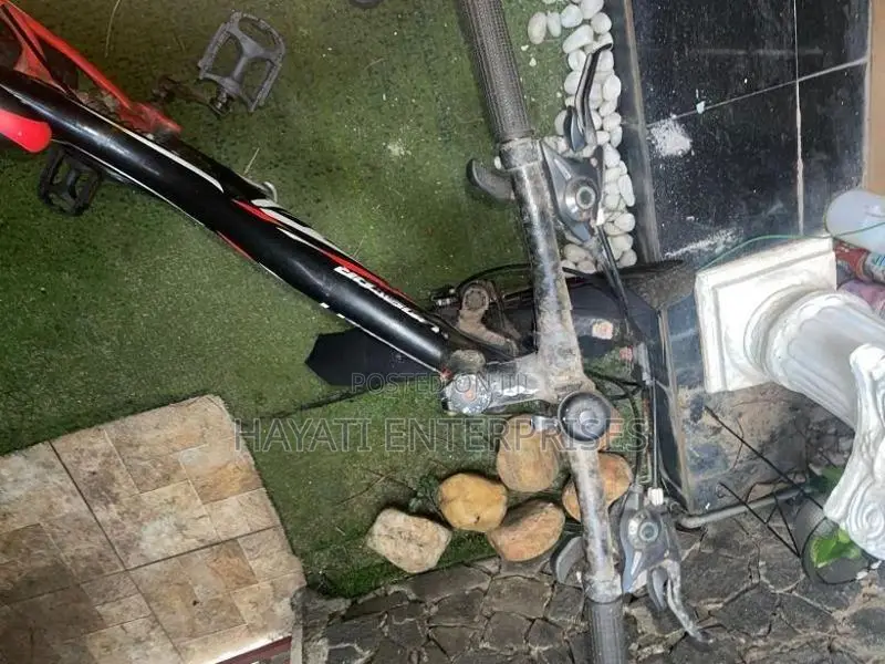 Lumstar 21-Speed Dual Suspension Mountain Bike