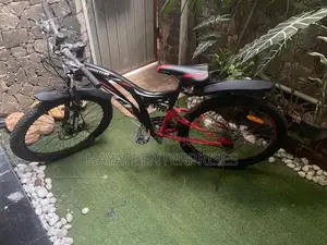 Lumstar 21-Speed Dual Suspension Mountain Bike