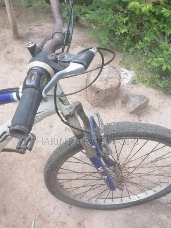 japan Bicycle