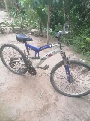 japan Bicycle