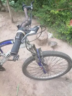 japan Bicycle