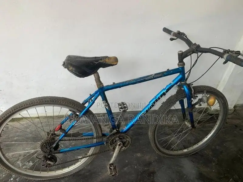 Bicycle