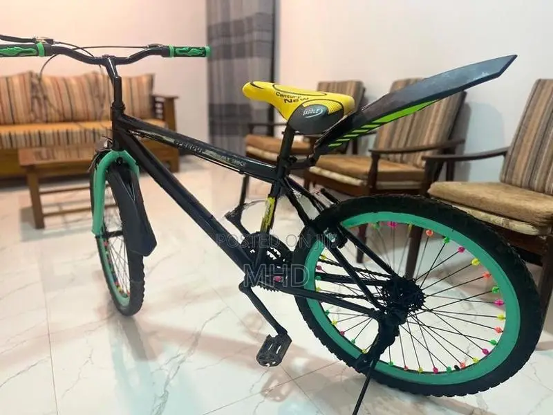 Dsi Bicycle