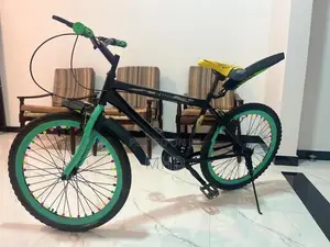 Dsi Bicycle
