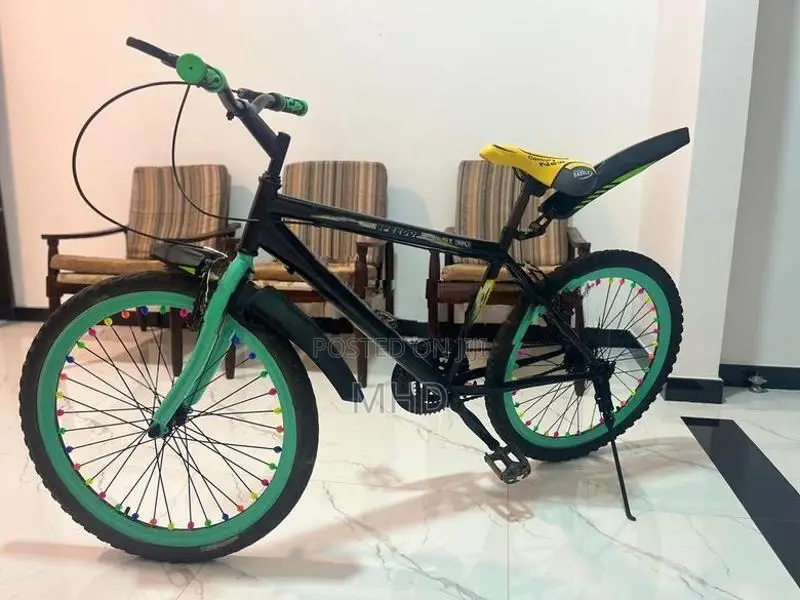 Dsi Bicycle