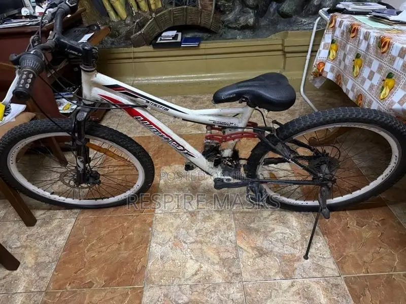 Lumala Bicycle