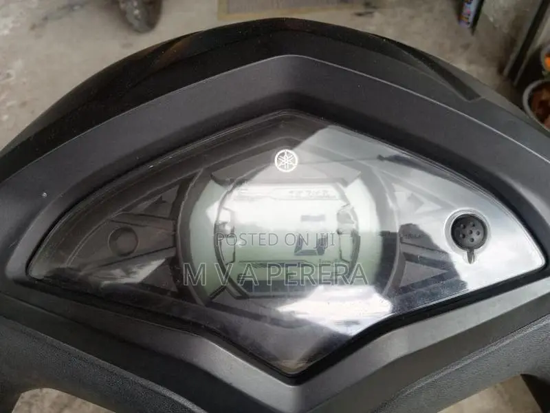 Yamaha Alpha Digital/Disc 2018