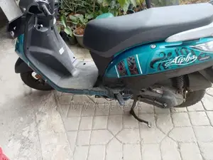 Yamaha Alpha Digital/Disc 2018