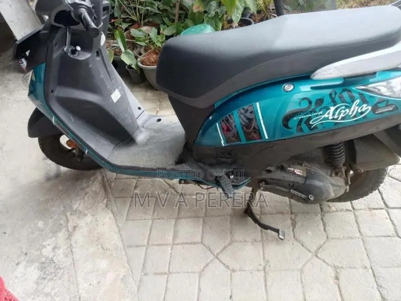 Yamaha Alpha Digital/Disc 2018