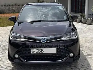 Toyota Axio WXB 2017