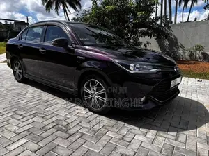 Toyota Axio WXB 2017