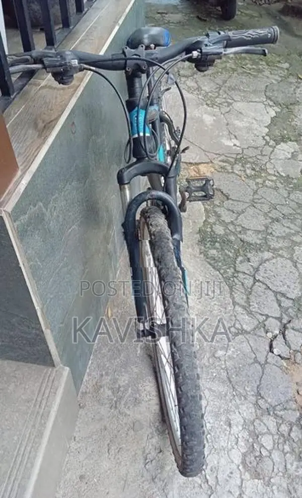 Shimano Bike