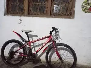 Tomahawk Mountain Bicycle Tyre Size 24