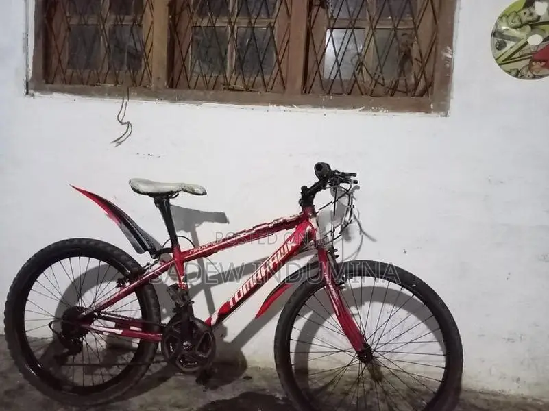Tomahawk Mountain Bicycle Tyre Size 24