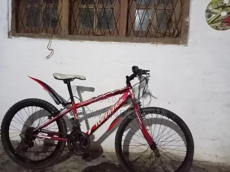 Tomahawk Mountain Bicycle Tyre Size 24